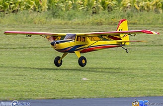 timber 110 rc plane