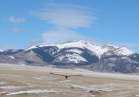 Name: SOARBD35.jpg
Views: 1652
Size: 97.3 KB
Description: Soarbird II on the slope, approaching; another undercambered wing, EPP body.