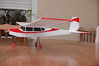 Name: DSC_5854.jpg
Views: 263
Size: 37.1 KB
Description: Steve and I scrounged the web to find a 'cessna-like' color scheme.