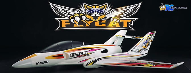 Flycat rc shop plane