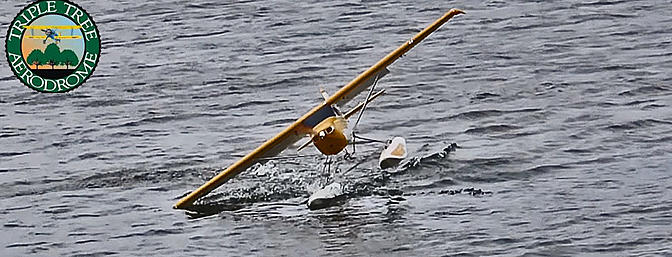 Nall in the Fall 2025 Day 8