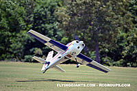 Name: DSC_0040JOE NALL2017.jpg
Views: 154
Size: 250.0 KB
Description: 