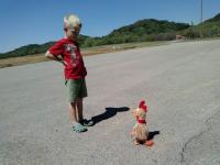Name: 0912071206.jpg
Views: 1348
Size: 92.4 KB
Description: Truman checks out the large chicken award that does the dance. 