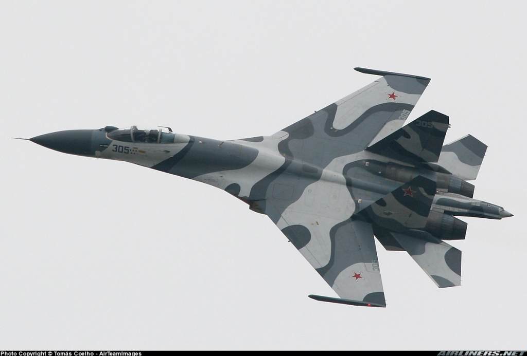 Attachment browser: Su-27 Camo 16.jpg by GotrekGurnisson - RC Groups