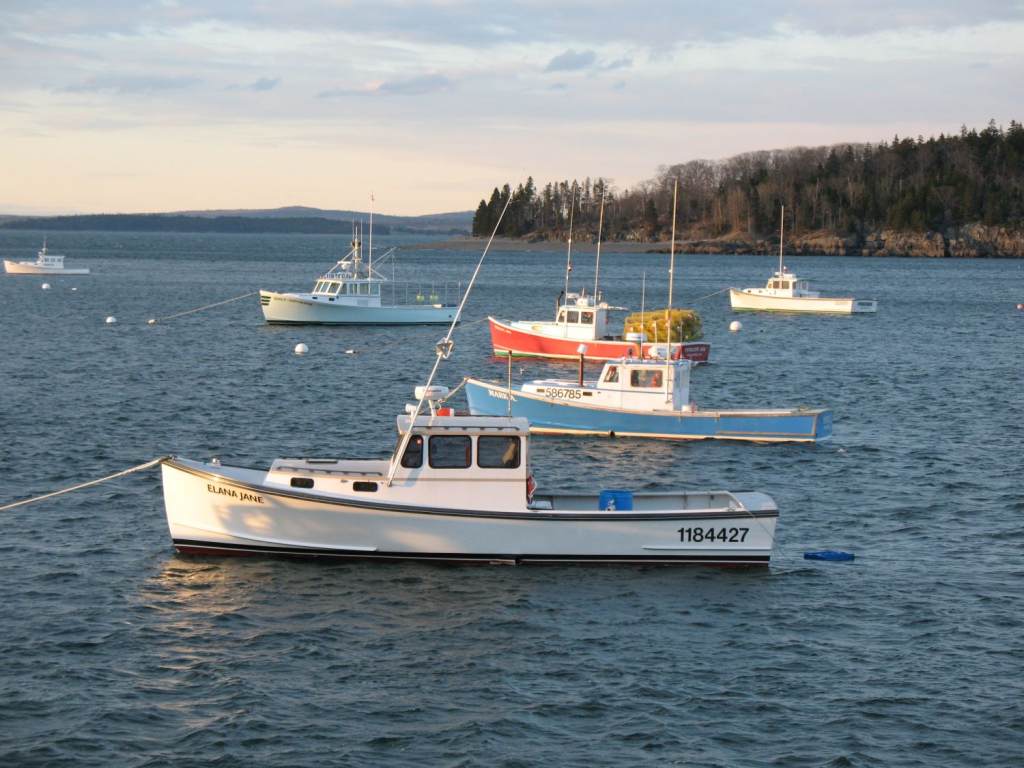 Attachment browser: Bar Harbor Fishing Boats .jpg by 