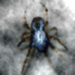 Nebelspinne's Avatar